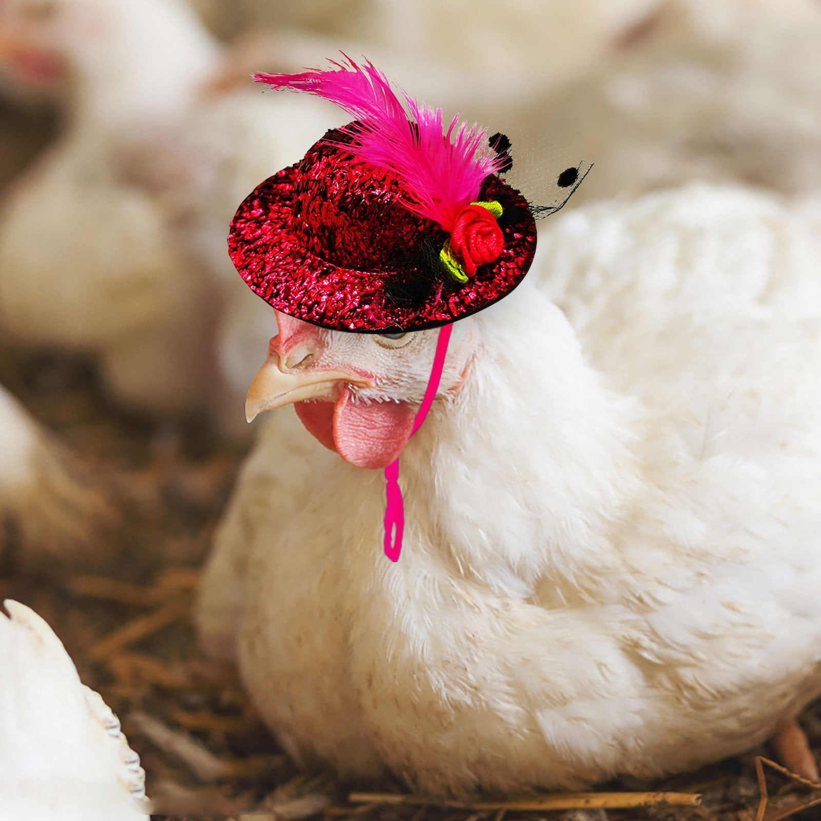 keusn chicken hats for hens tiny pets funny chicken accessories
