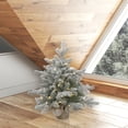 thumbnail image 4 of Vickerman 24" Frosted Sable Pine Artificial Christmas Tree, Clear Dura-Lit® Lights, 4 of 4