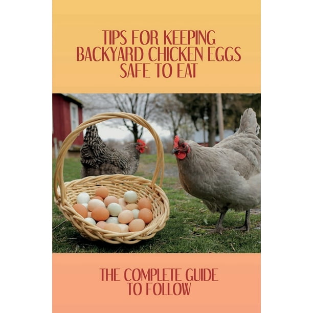 Tips For Keeping Backyard Chicken Eggs Safe To Eat The Complete Guide