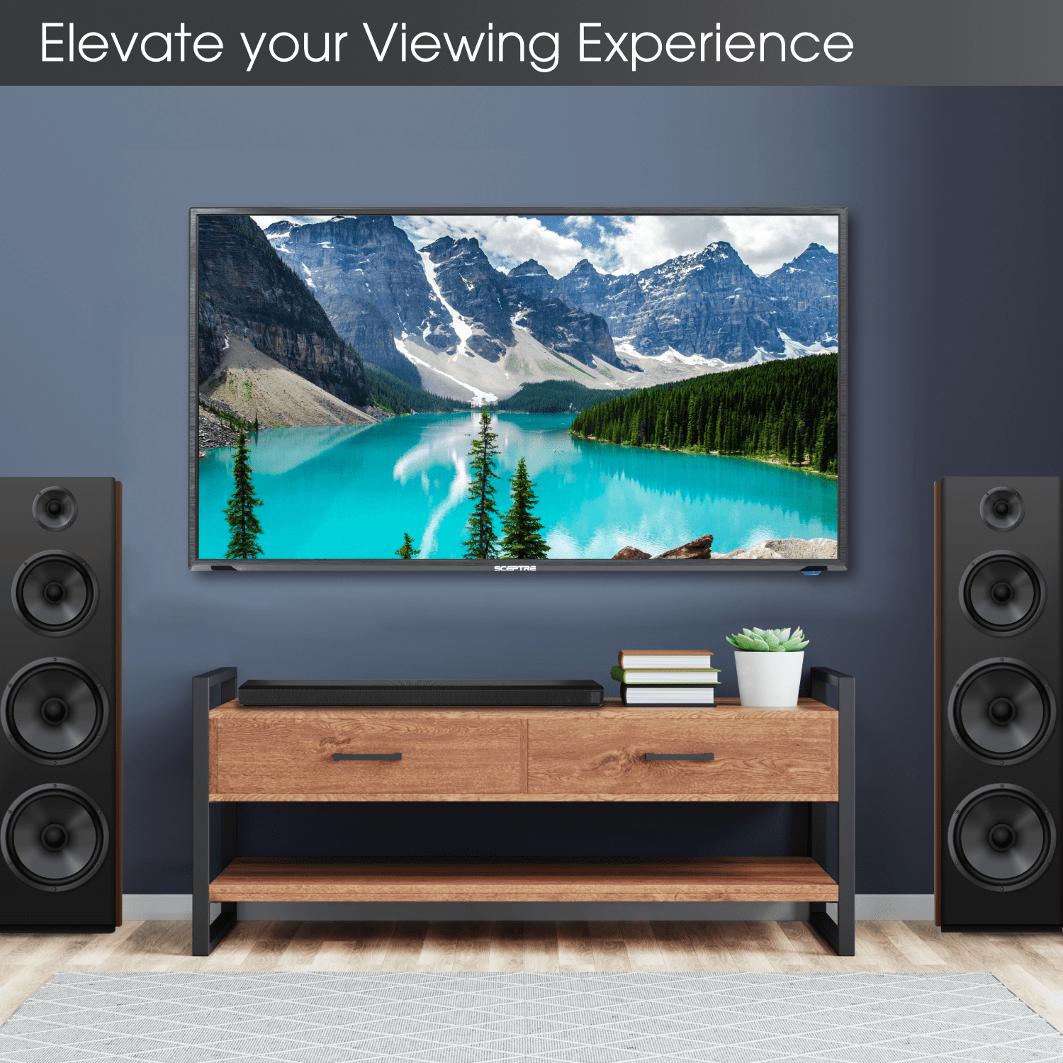Sceptre 40" Class FHD (1080P) LED TV (X405BV-FSR)