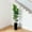 150CM Black, variant on Artificial Fiddle Leaf Fig Tree 180cm Tall with Planter - Realistic Fake Tree Natural Wood Trunk, Large Indoor Plant for Home Office Decor, Bathroom, Bedroom, Hallway, Party Gift Indoor/Outdoor