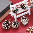 thumbnail image 3 of MesaSe 27 Pcs Pommes de Pin Rustiques de Noël avec Ficelle pour Décorations de Fête d'Automne, 3 of 6