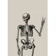 thumbnail image 3 of Nordic Halloween Skeleton Witchy Gothic Ghost Canvas Painting Pumpkin Bats Cat Poster Prints Wall Art for Living Room Decoration, 3 of 5