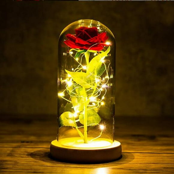 Beauty and the Beast Rose, Eternal Rose in Glass Rose in Glass Dome Artificial Flowers Roses