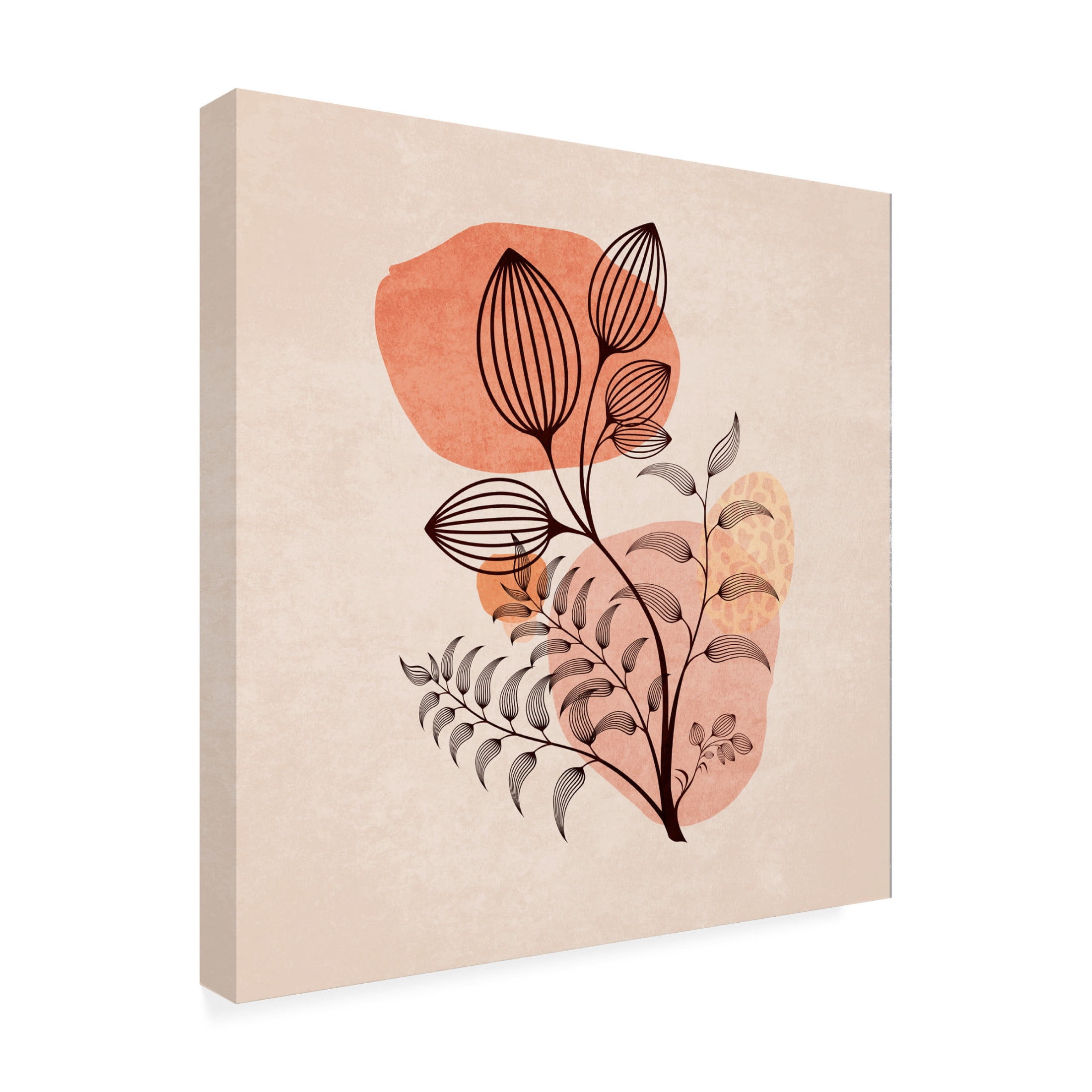 Trademark Fine Art Emel Tunaboylu  Zarif Cicekler 03 Canvas Wall Art