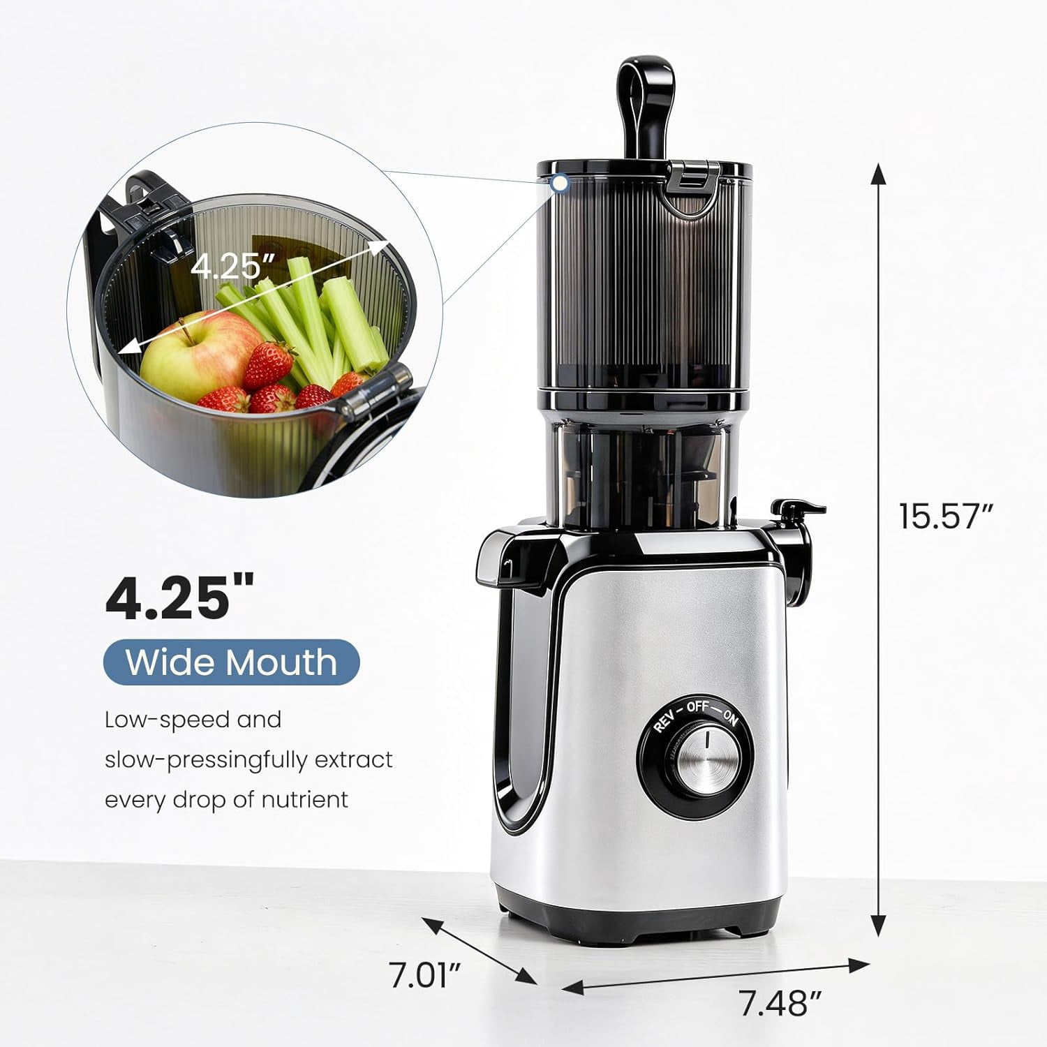 Masticating Juicer Machines, Cold Press Juicer with Wide Feed Chute, High  Yield and Easy to Clean for Whole Vegetables & Fruits, Silver