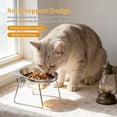thumbnail image 4 of NUAHRHY 2pcs Elevated Cat Bowl  for Small Cats Dogs 5.1"  Wide Indoor Stainless Steel Raised Cat Dishes for Food and Water 15° Tilted  Anti-Vomiting Dog Bowl Whisker Friendly Spine Friendly, 4 of 11