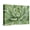 Canvas, variant on Art.com Green Succulent Art Print by Marilyn Dunlap, 16" x 12"
