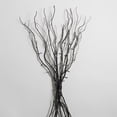 thumbnail image 3 of Black Willow Branch Decor With Orange LED Lights Approx 39"L, 3 of 3