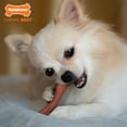 thumbnail image 3 of Nylabone Power Chew Original Bone Dog Chew Toy Bacon X-Small (1 Count), 3 of 13