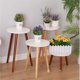 thumbnail image 1 of Estante para flores de madera maciza Estante para macetas de interior Mesa redonda pequeña de pie Taburete para flores de madera Estante para flores verde extraíble, 1 of 5