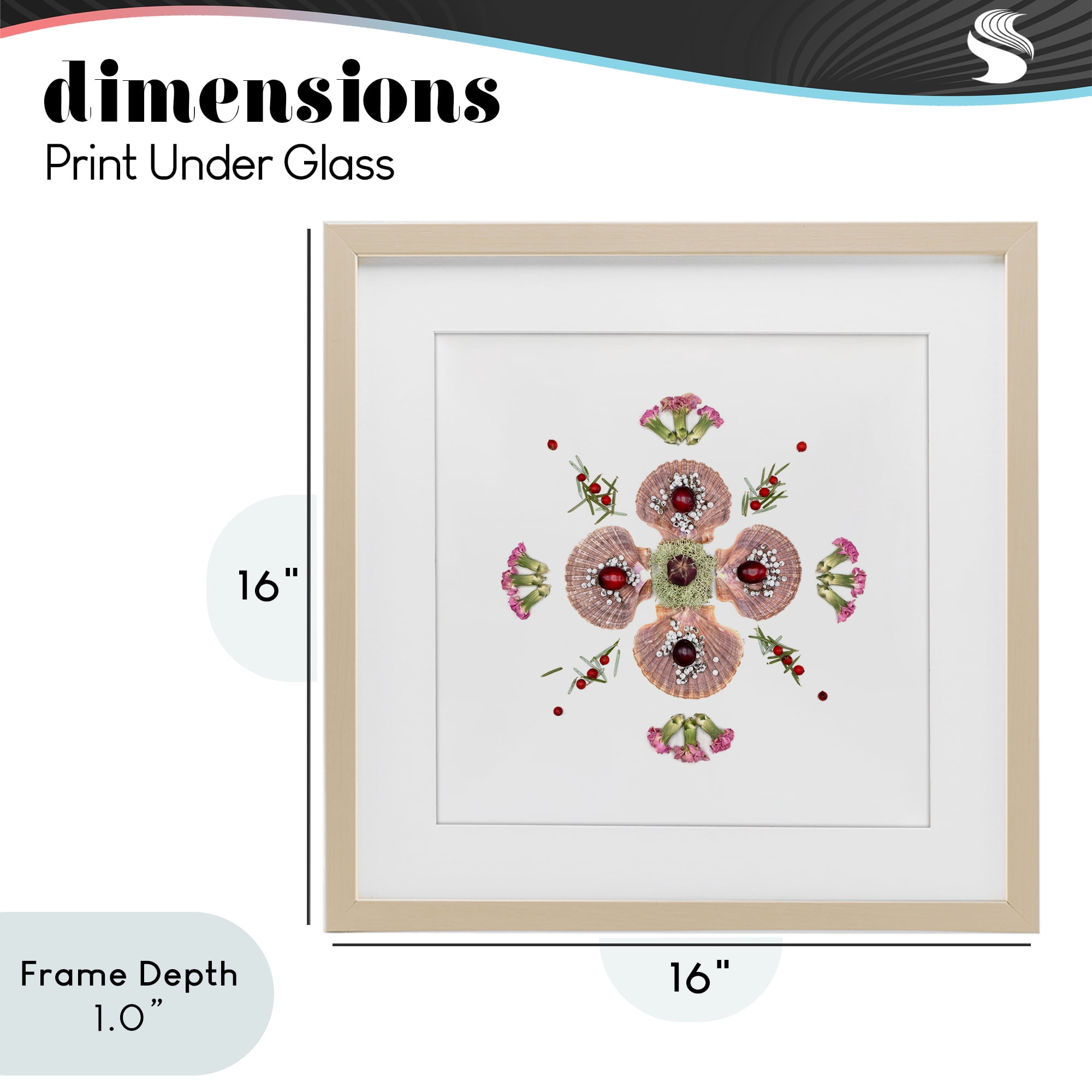 Stupell Industries Clam Shells & Botanicals Pattern Birch Framed Print Under Glass, design by Beth Adoette