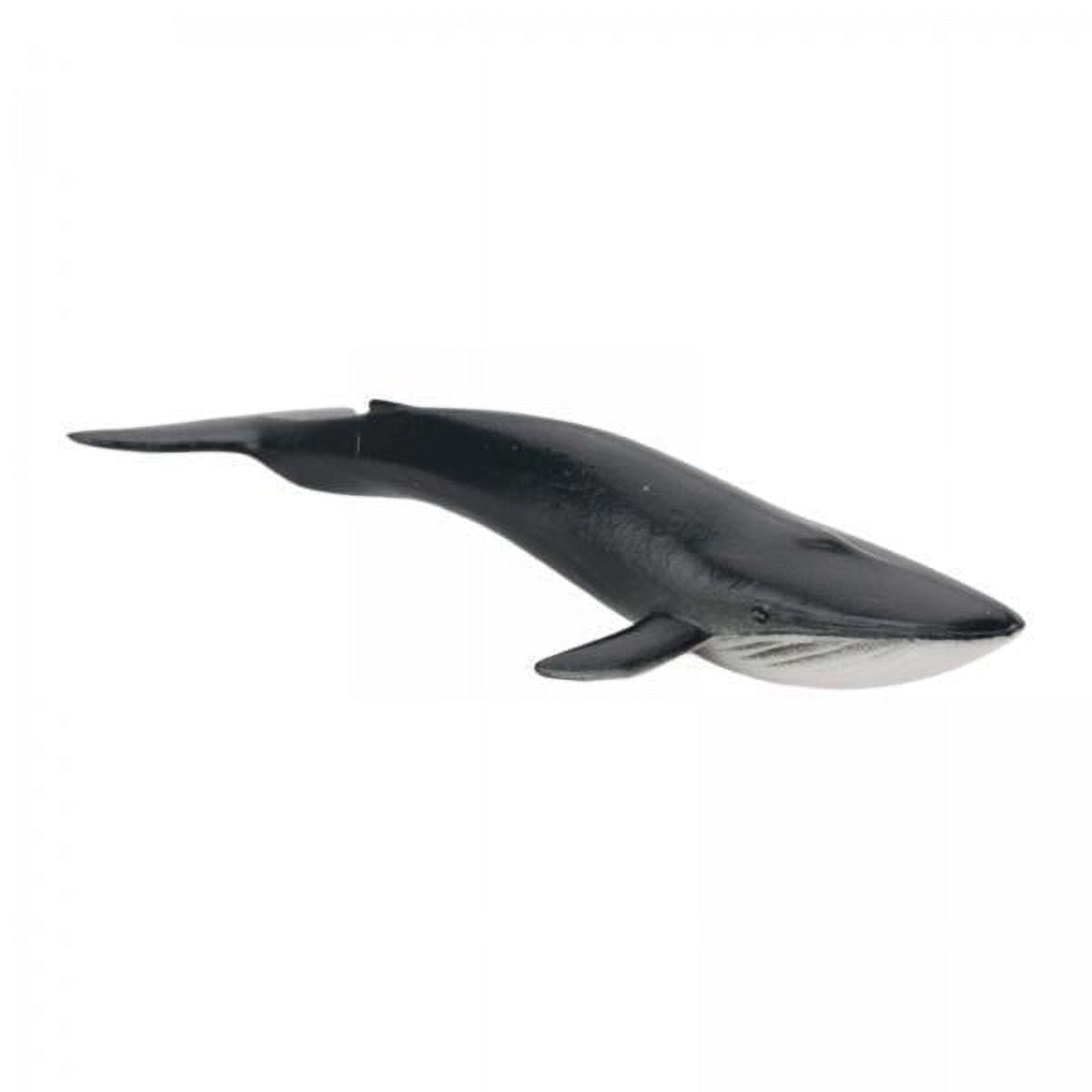 Figura De Ballena Juguete Realista Modelo Animal Prehistórico Regalo
