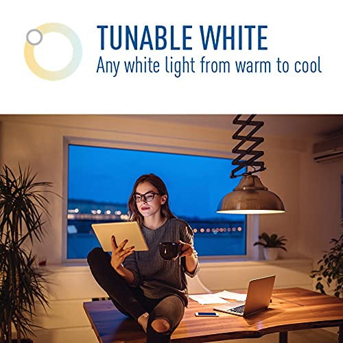 Globe google best sale home