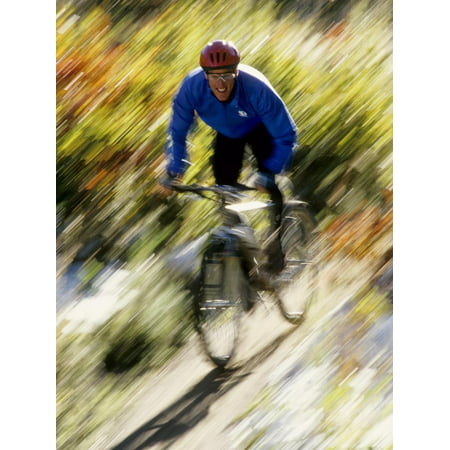 Recreational Mountain Biker Riding on the Trails Print Wall