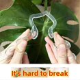thumbnail image 5 of 6PCS Turtle Shell Bamboo Plant Clamps - Vertical Support for Healthy Growth of Flowers & Vegetables, 5 of 5