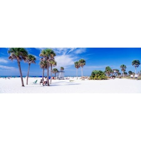 Palm trees on the beach Siesta Key Gulf of Mexico Florida USA Canvas Art - Panoramic Images (18 x