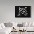 thumbnail image 3 of Trademark Fine Art 'Racoon' Canvas Art by Geraldine Aikman, 3 of 3