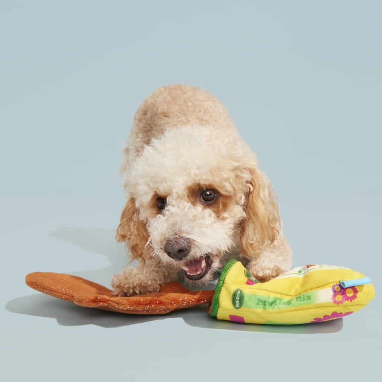 5 of the Best Dog Toys for Separation Anxiety