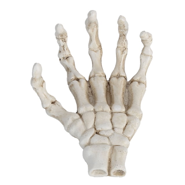 Modelo de esqueleto de mano humana, manos de esqueleto de Halloween, decoración de hueso de mano alto, manos de esqueleto de plástico, solución innovadora