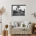 thumbnail image 4 of Historic Framed Print, Golf links, Hotel Royal Poinciana, Palm Beach, Fla. - 3, 17-7/8" x 21-7/8", 4 of 9