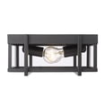 thumbnail image 3 of Golden Lighting Tribeca 2-light Outdoor Ceiling in Natural Black, 3 of 5