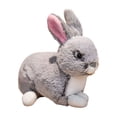 thumbnail image 2 of RXIRUCGD Plush Rabbit Doll Stuffed Easter Bunny Animal Toy, Cute and Soft Rabbits Doll for Boys Girls, Birthday Gift Easter Basket Stuffers Gifts for Kids, Easter Decorations, 2 of 6