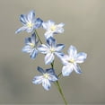 thumbnail image 2 of Artificial Lily Flower Bouquet 6 Heads Lifelike Faux Lily Floral Arrangement for Home Wedding Decor, 2 of 5