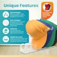 thumbnail image 5 of Perfect Curve Cap Rack Stand 2-Pack - Clear, Wall & Tabletop Hat Organizer, Easy Assembly, Scratch-Resistant, 5 of 10