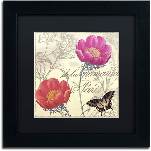 Trademark Fine Art "Petals of Paris I" Canvas Art by Color Bakery Black Matte, Black Frame
