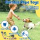 thumbnail image 4 of Juguete interactivo para perros KIPRITII, paquete de 9 para perros pequeños, 4 of 6