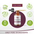 thumbnail image 3 of Tintura Pura Herba de olmo, ulmus rubra, 60 ml, sin alcohol, 3 of 5