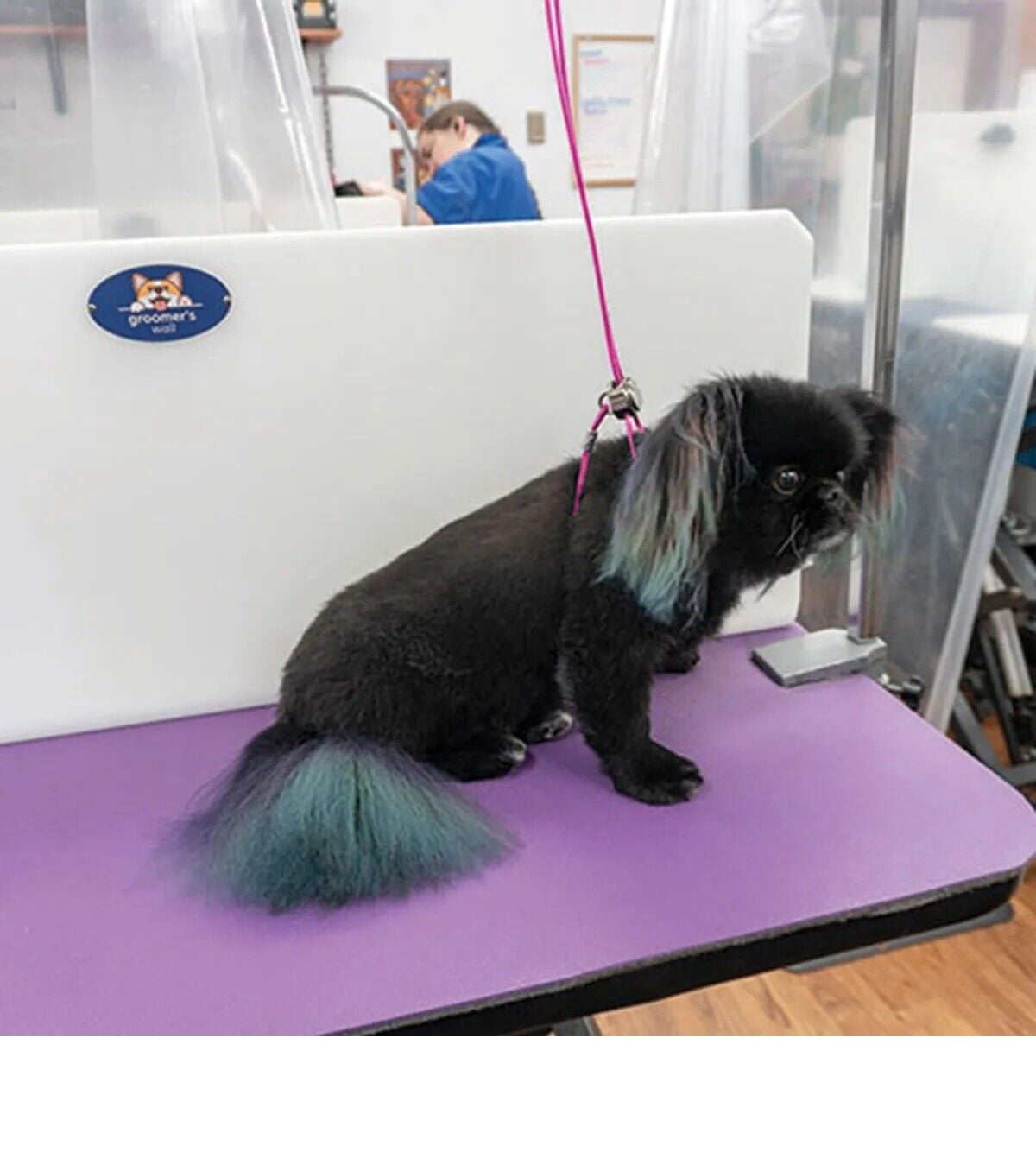 Small Grooming Loops Softer Fabric Trachea Saver Pro Harness Style for Dogs Cats (Blue)