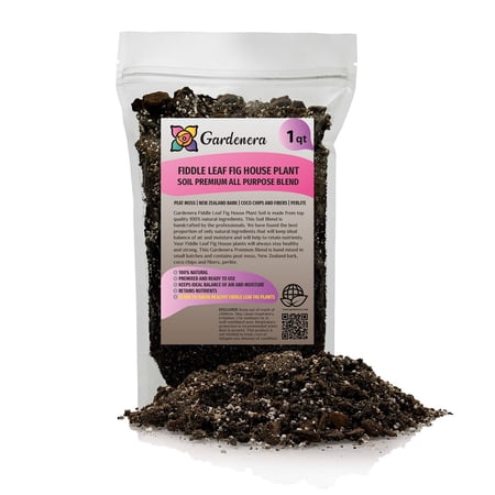 ? Gardenera Labs Fiddle Leaf Fig Soil Mix - Premium Blend of Peat Moss, New Zealand Bark, Coco Chips, and Perlite for All Purpose Planting - 1 Quart Bag