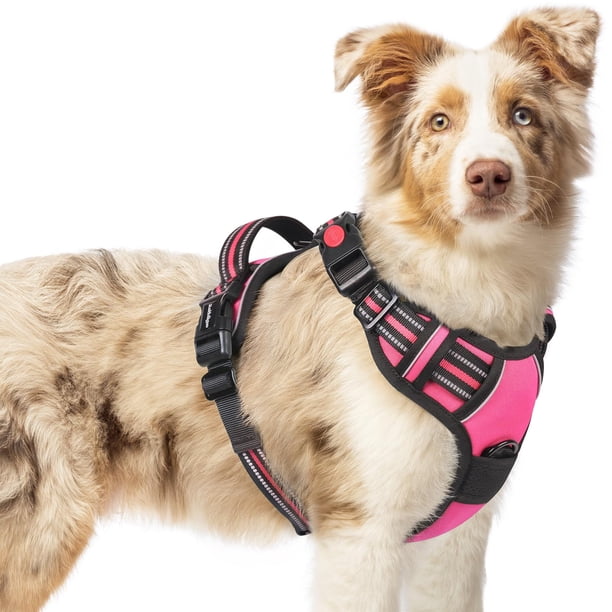 Arnés para perros Rabbitgoo Upgraded No Pull, tamaño mediano, rosa