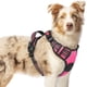 thumbnail image 1 of Arnés para perros Rabbitgoo Upgraded No Pull, tamaño mediano, rosa, 1 of 9