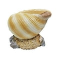 thumbnail image 2 of Felwors Conch Shellfish Flower Pot Natural Flower Pot Home Garden Decoration, 2 of 9