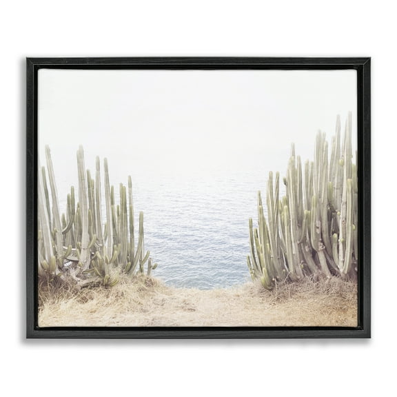 Stupell Industries Seaside Cacti Plants Nautical & Beach Photography Black Floater Framed Canvas Art Print Wall Art, 21 x 17
