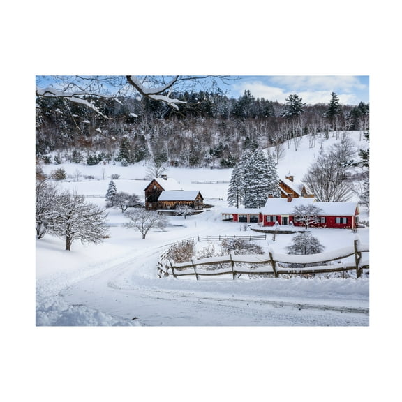 Brenda Petrella Photography LLC 'Winter in Vermont' Canvas Art