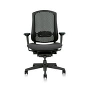 Fully Loaded Herman Miller Celle Chair-Used