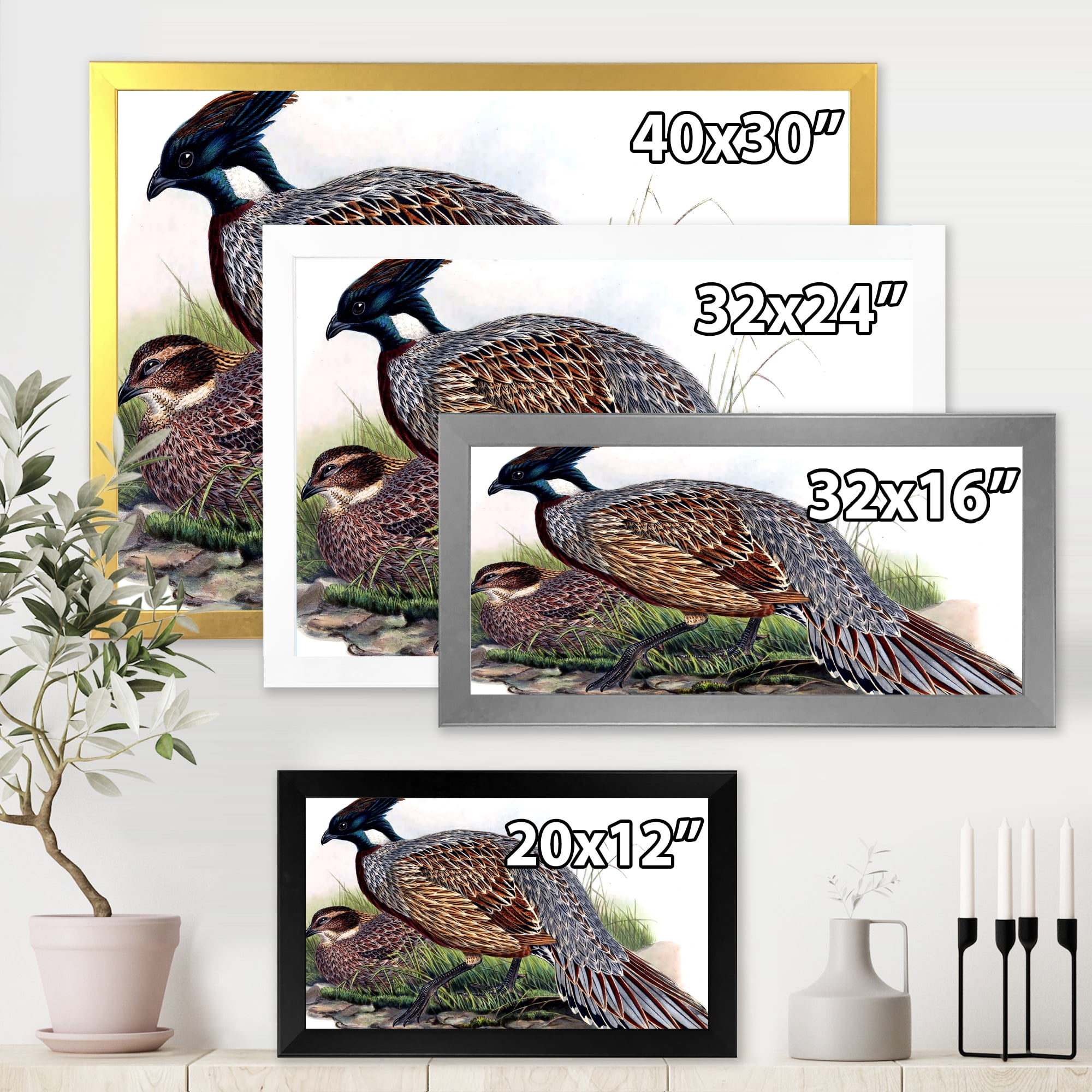 Designart 'Close Up Of Vintage Countryside Birds' Farmhouse Framed Art Print