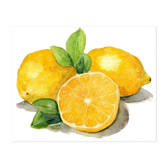 Lemons - Painting Lemon Watercolor Fruit Botanical Kitchen Decor Summer Illustration Unframed Wall Art Print 6 x 8 inches
