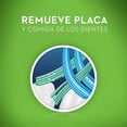 thumbnail image 4 of Cepillo De Dientes Pro Plus Cuidado Interdental 2 pzas, 4 of 5