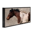 thumbnail image 3 of Stupell Industries Rustic Lodge Brown & White Horse Black Framed Giclee Art, 24 x 10, by Nina Blue, 3 of 8