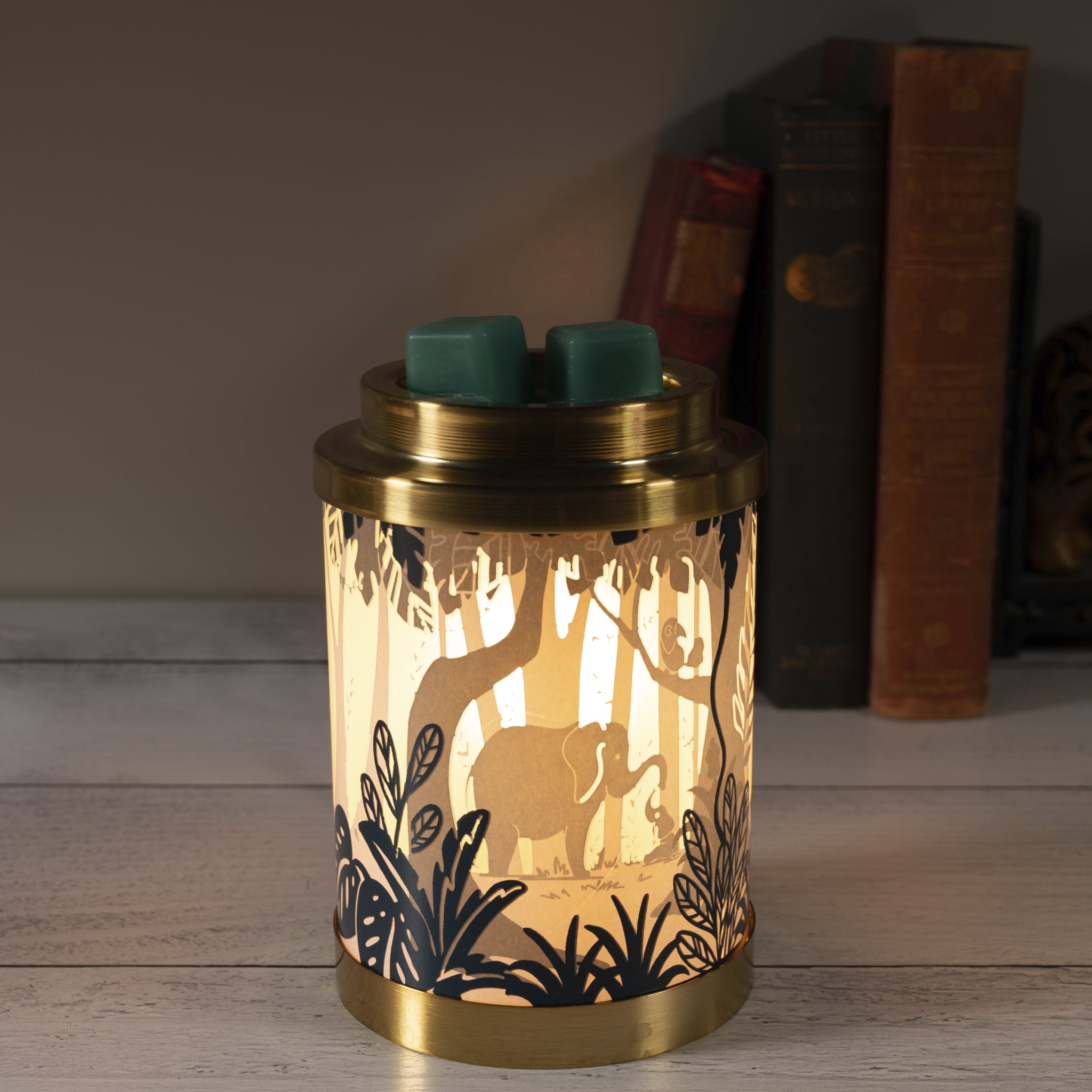 ScentSationals Full Size Fragrance Warmer, Into the Wild