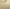 SAND-SUEDE, variant on BURUDANI Men's Military Tactical Work Boots Side Zipper Leather Motorcycle Combat Boots