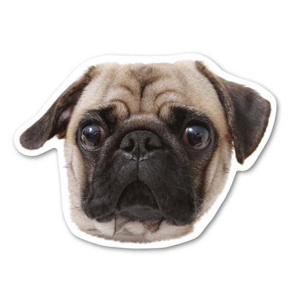 Pug Dog Magnet