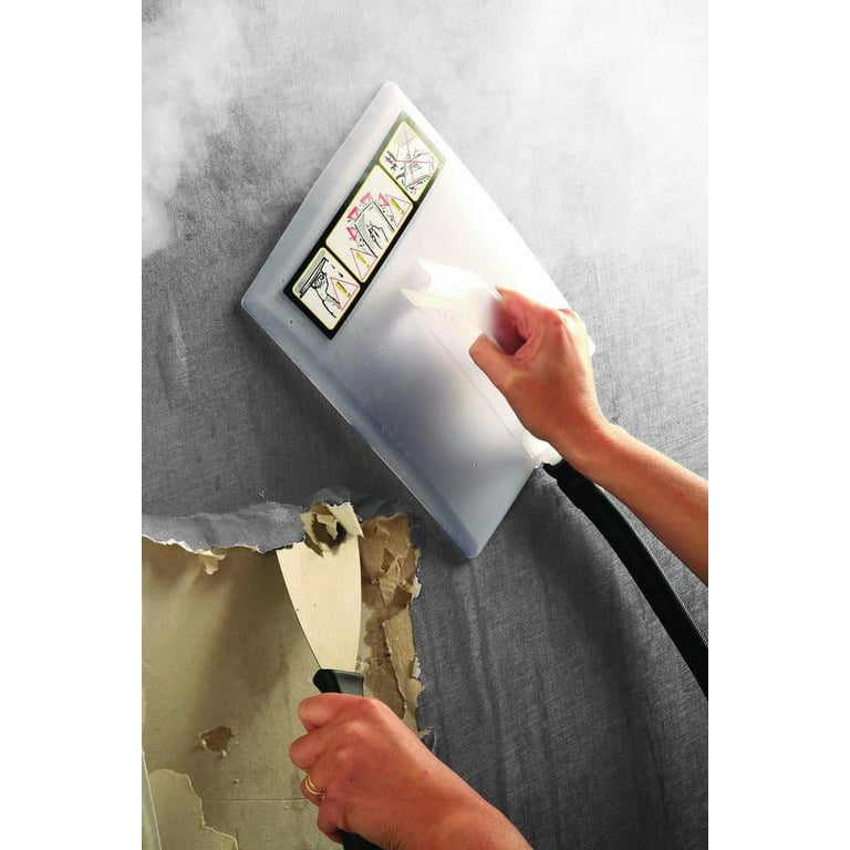 Wagner power on sale steamer 715