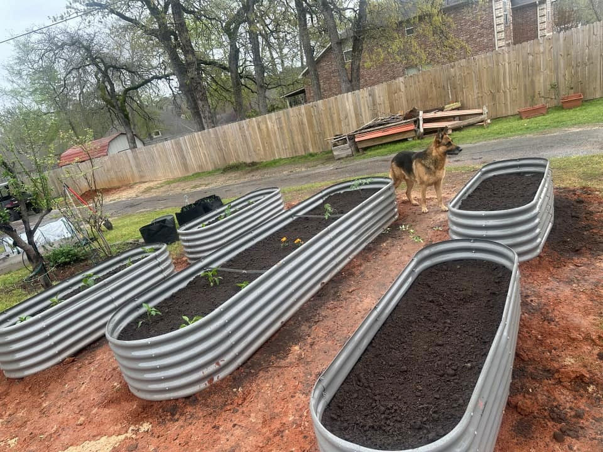 TRAMULL 6X2X1.5 ft Galvanized Raised Garden Beds Outdoor, Oval Round Metal Planter Box (Quartz Grey)