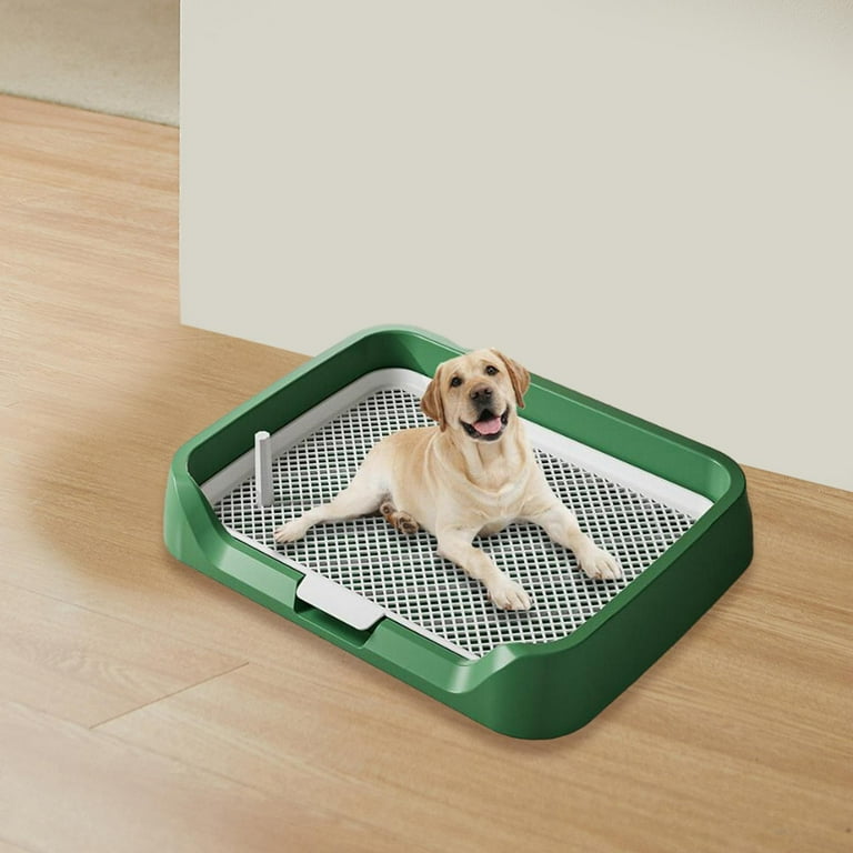 DOLITY Indoor Dog Potty Tray Indoor Dogs Potty Train Pads for